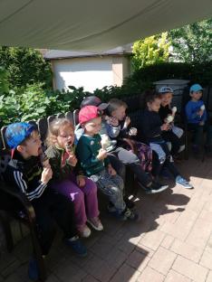 Náhodná fotogalerie